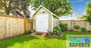 How to Keep Outdoor Structures Pest-Free